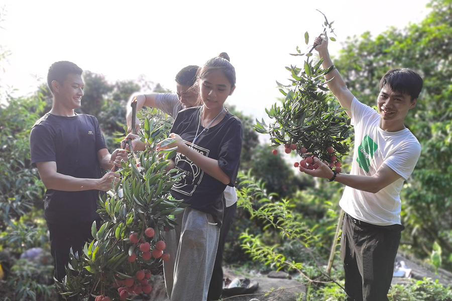 太阳集团官网团队风采