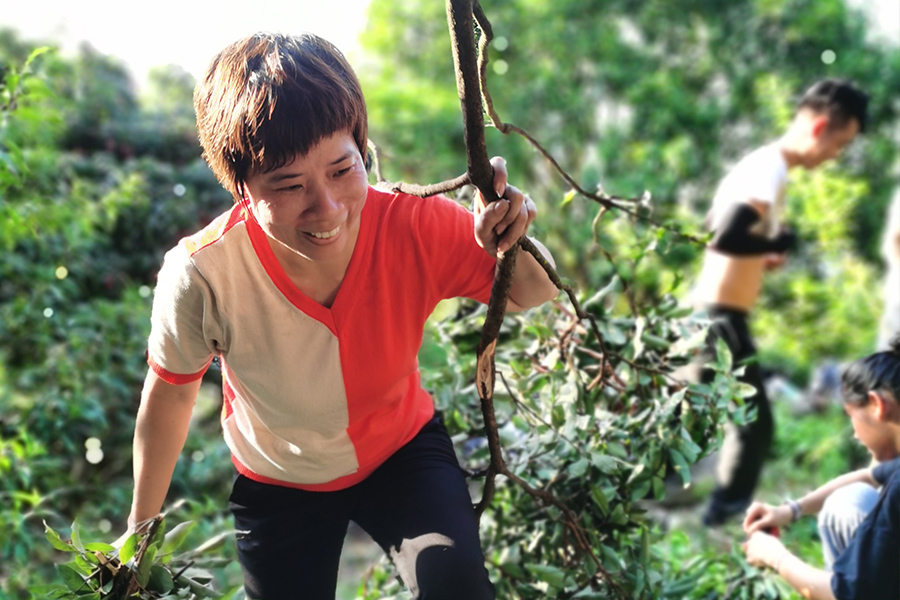 太阳集团官网团队风采